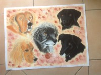 /album/galerie-photos/photo-1624-jpg/